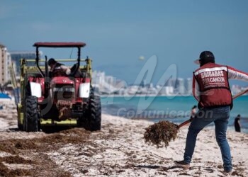 Cancun, 29 de septiembre.- Aparece un recale de sargazo en Playa Delfinesâ€¦ La temporada de arribo de Alga Marina se creia superada, pero este miercoles regreso a la playaâ€¦ Personal del Ayuntamiento BJ realizan trabajo de retiro y limpieza en los arenales bajo el Sol implacable y el intenso calor  que se deja sentir en el lugar.