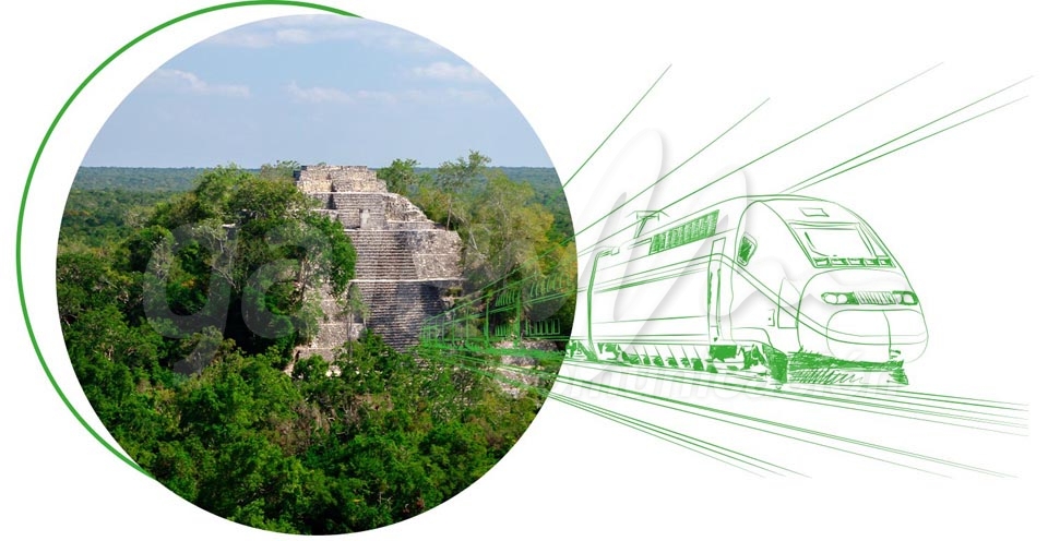 Tren Maya causará deforestación, extinción de flora y fauna, e impacto