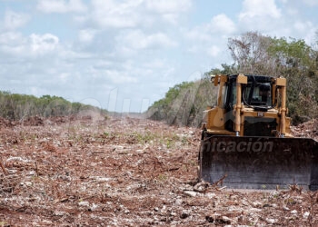 Playa del Carmen, 19 de abril.- Maquinaria pesada trabaja en el Tramo 5 del Tren Maya Playa del Carmen-Tulum, en el trazo que atraviesa atras de un fraccionamiento en Villas del Sol, perpendicular a la carretera salida de Playa del Carmen en direccion al entronque con la autopista a Merida… En un lado de la carretera, trabajadores de una empresa hacen labores en la zona devastada y transportan un artefacto desconocido…