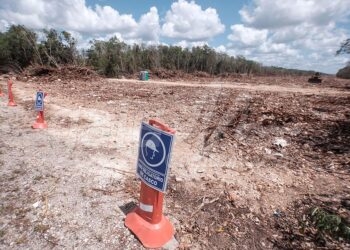 Playa del Carmen, 19 de abril.- Maquinaria pesada trabaja en el Tramo 5 del Tren Maya Playa del Carmen-Tulum, en el trazo que atraviesa atras de un fraccionamiento en Villas del Sol, perpendicular a la carretera salida de Playa del Carmen en direccion al entronque con la autopista a Meridaâ€¦ En un lado de la carretera, trabajadores de una empresa hacen labores en la zona devastada y transportan un artefacto desconocidoâ€¦