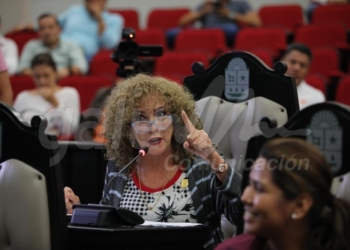Interrupción de gestación, tema de salud pública, no moral, diputada Luz María Beristaín