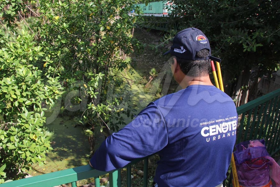 Mantienen programa de limpieza de cenotes urbanos en Cancún