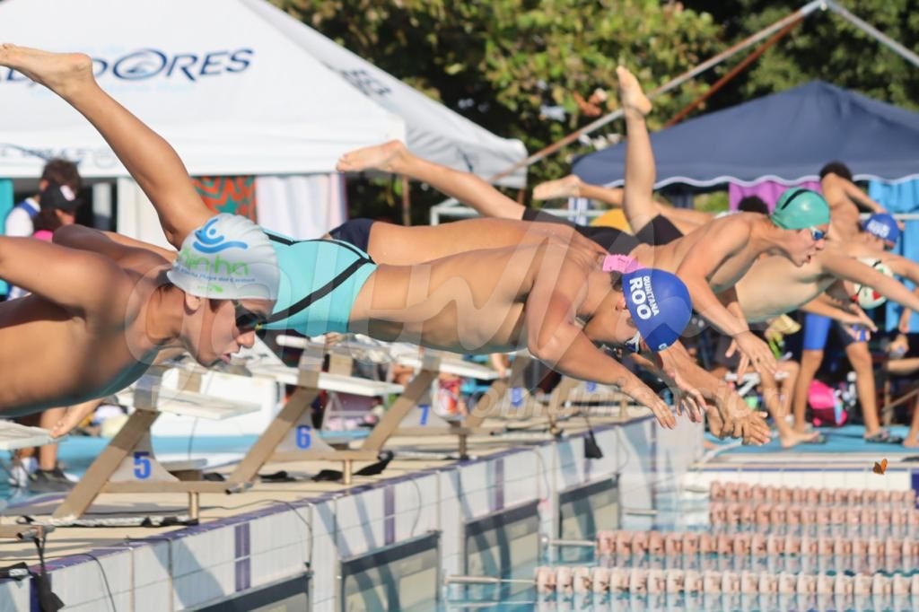 Más de 260 atletas de Quintana Roo participan en Campeonato Estatal de Natación Invierno 2022