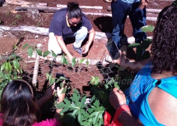 Ayuntamiento de Puerto Morelos impulsa a mujeres del campo