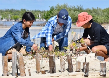 Fundación cozumeleña recibe y apoya a alumnos de Chapingo que realizarán restauración ambiental
