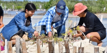 Fundación cozumeleña recibe y apoya a alumnos de Chapingo que realizarán restauración ambiental