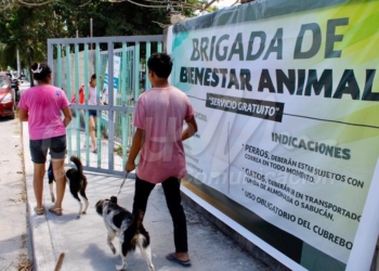 Promueven el cuidado de la fauna doméstica en Puerto Morelos