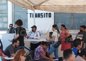 Trámites de renovación de licencias incrementan en 100 por ciento en Chetumal