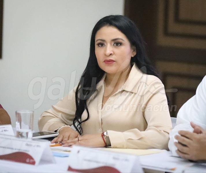 Plan estatal de Desarrollo llevará prosperidad a todos los rincones de Quintana Roo; Blanca Merari