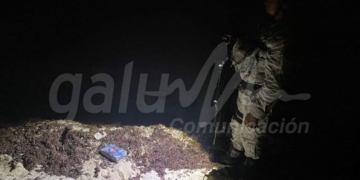 Encuentran cocaína oculta entre sargazo que recala en costas de Tulum y Cozumel