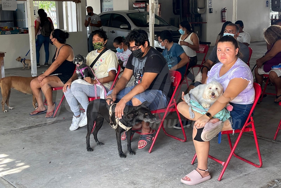 Edil destaca ventajas del empadronamiento de mascotas