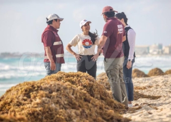 Cerca de 72 toneladas de sargazo se retiran de las playas de Cancún en el mes de enero