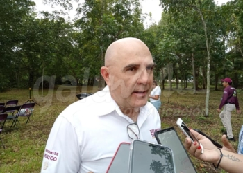 Gobierno federal atiende todos los amparos contra el Tren Maya; SEDATU