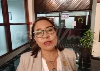 Diputada local solicitará clínicas veterinarias públicas en Quintana Roo