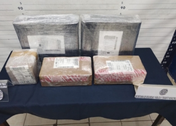 Detectan 5 paquetes con drogas en empresa de paquetería