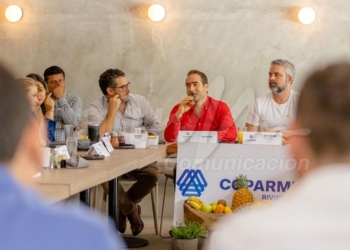 Preocupa a empresarios escalada de violencia e inseguridad en Tulum