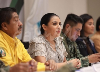 Llamado a proteger las zonas forestales de Puerto Morelos
