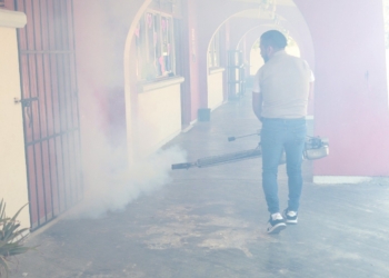 Intensifican en Cancún el combate al dengue