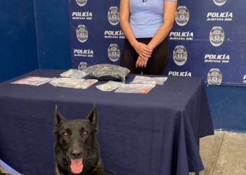 Detienen a mujer con droga en la terminal de camiones de Chetumal