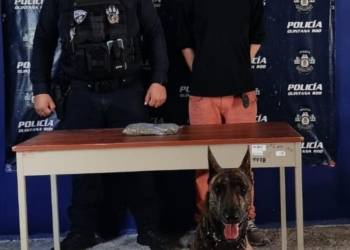 Perro policía