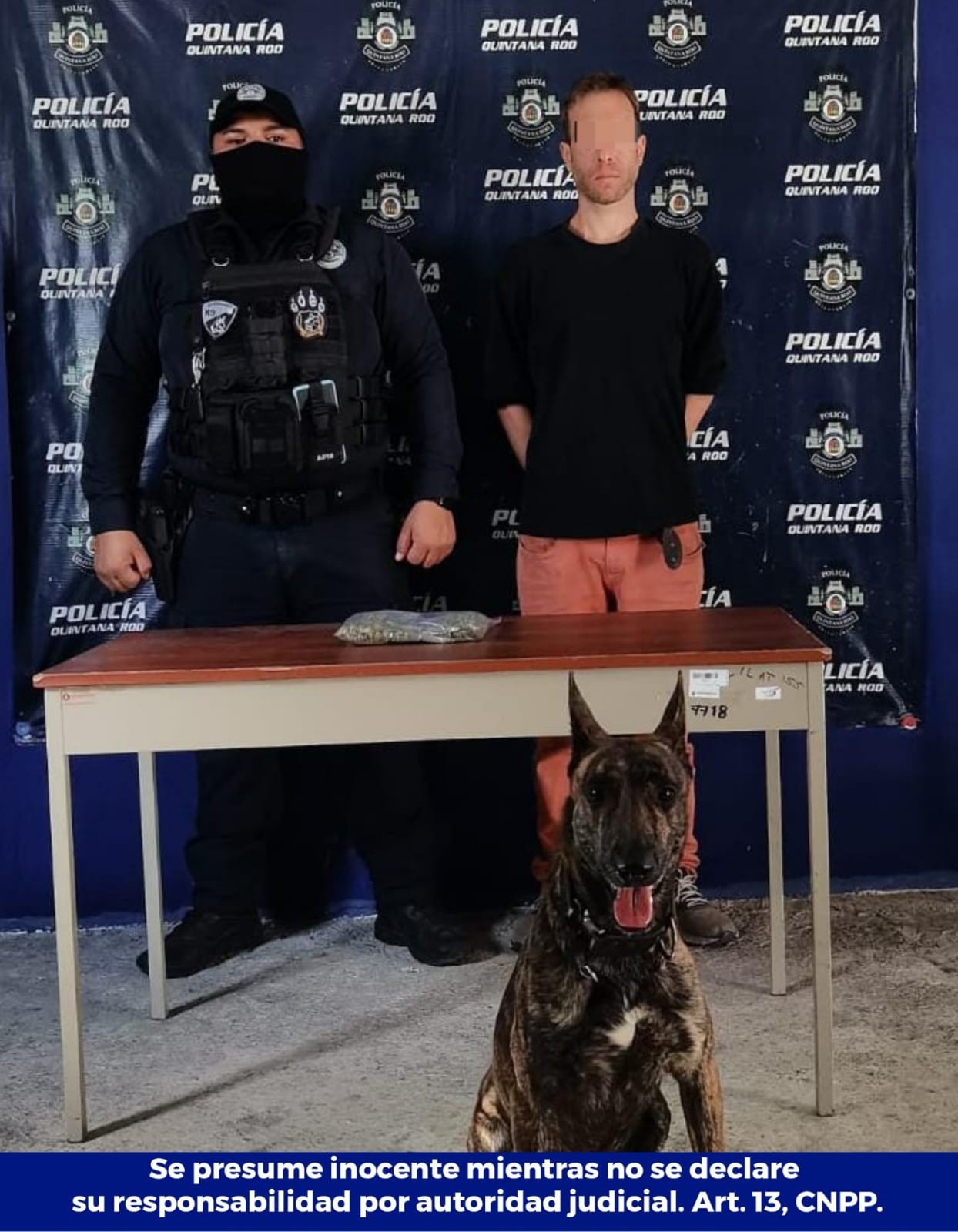 Perro policía
