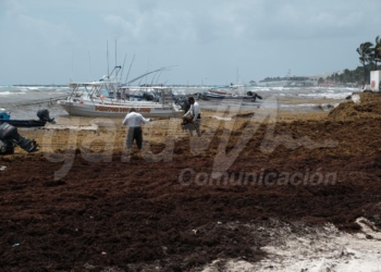 Empresarios de la Riviera Maya buscan soluciones al sargazo