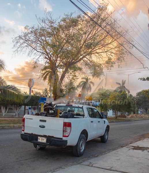 Intensifica sector salud acciones contra el dengue, zika y chikungunya