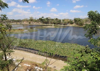 Recibe mantenimiento integral y reforestación del Acuaparque de Mérida