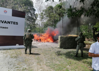 Incineran más de 300 kilos de drogas aseguradas en Quintana Roo