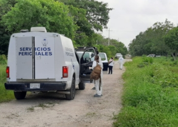 Encuentran en Cancún los cuerpos de dos mujeres asesinadas con violencia