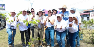 Voluntarios reforestan vialidades de Cancún