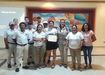 Destacan la importancia de las abejas al medioambiente