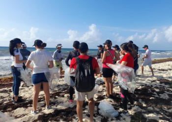 Organizan en Puerto Morelos limpieza de playas para protección de tortugas marinas