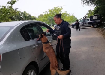 Realizan operativo de prevención en colonias, mercados y plazas de Chetumal