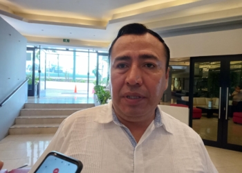 Pequeño escarabajo de la colmena golpea la producción de miel en Quintana Roo