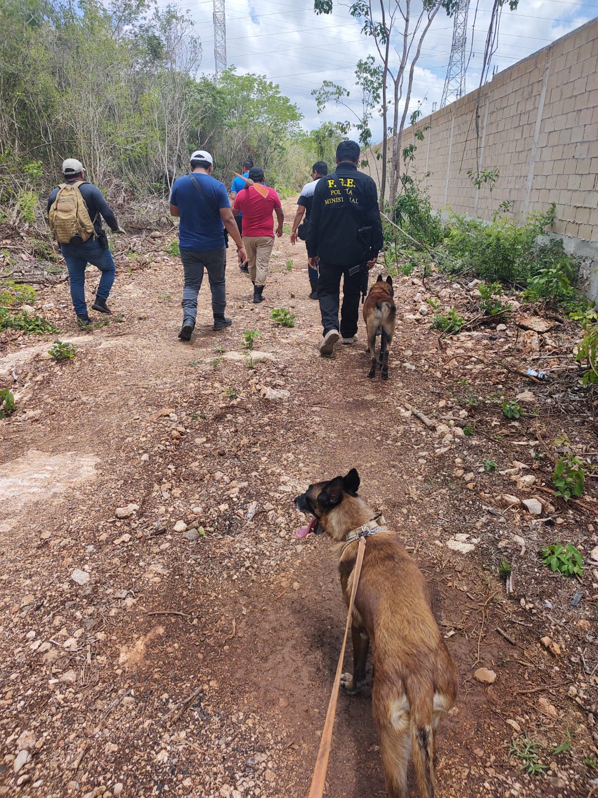 Encuentran 3 cuerpos en Bonfil, zona conurbada de Cancún