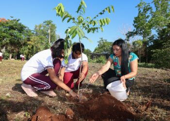 Conmemoran Día Mundial del Árbol en Puerto Morelos