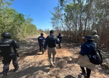 Encuentran siete cuerpos en la selva de la zona maya de Quintana Roo