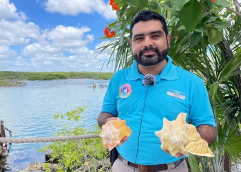 Xel-Há, con 18 años de proteger al caracol rosado