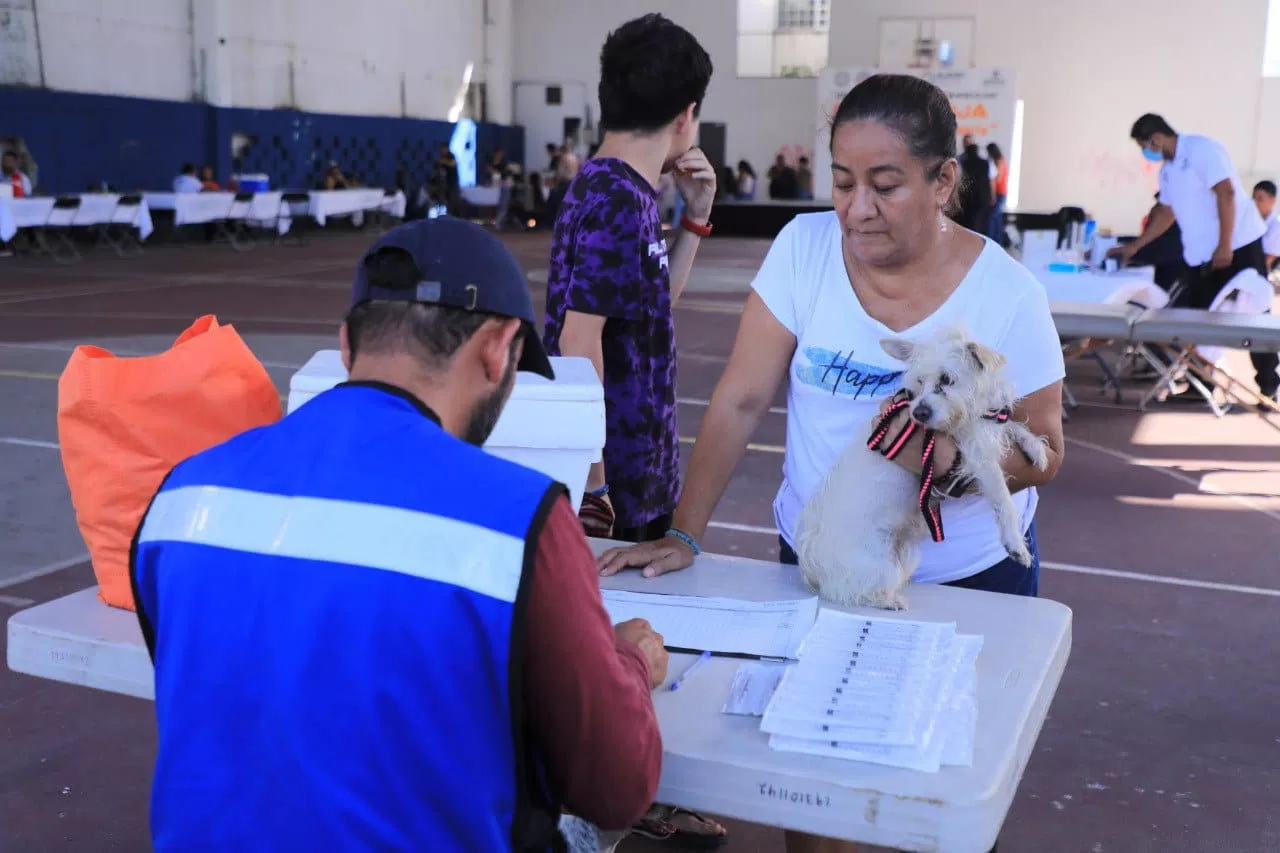 Buscan reducir población callejera de perros y gatos en Solidaridad
