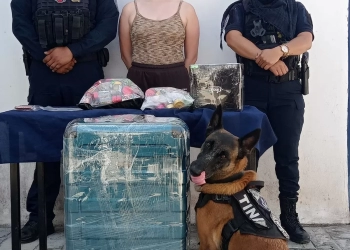 Decomisan mil cigarros de marihuana cerca de terminal de camiones de Playa del Carmen
