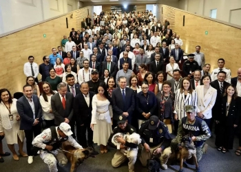 Autoridades federales se involucran en prevención de maltrato animal