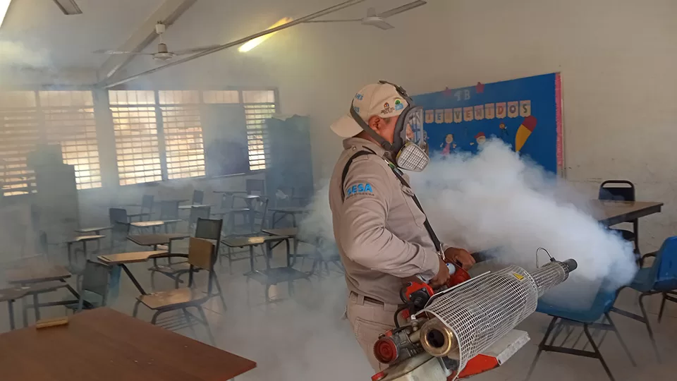 Fumigan para prevenir brotes de enfermedades en Holbox y Chiquilá