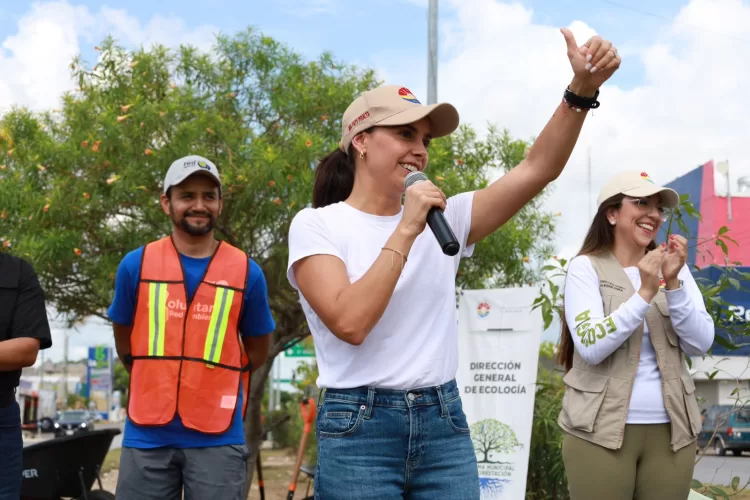 Programa del Ayuntamiento permite reforestar más de 12 mil metros cuadrados en Cancún