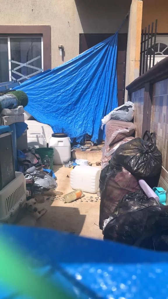 Murieron en el lugar, los perros encontrados en una casa de Cancún