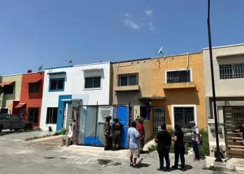 Rescatan a 5 perros con vida y hayan 23 muertos en casa de Cancún presuntamente usada como refugio de animales