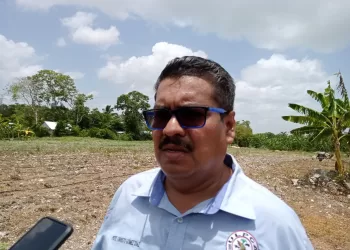 Productores cañeros de Quintana Roo esperan pago de liquidación de zafra 2022-2023