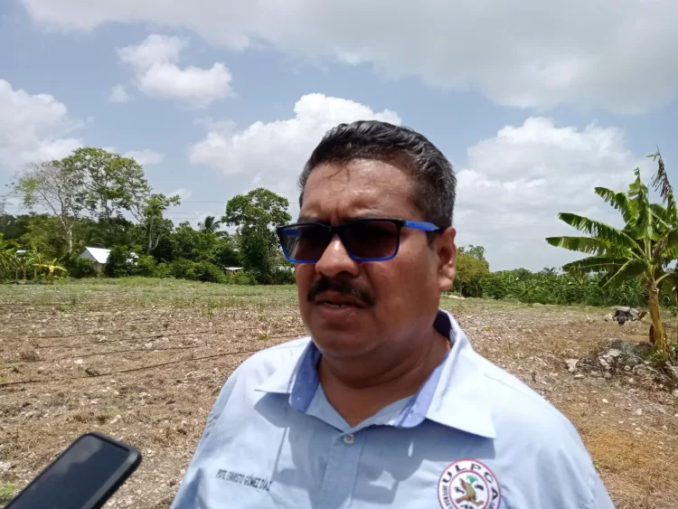 Productores cañeros de Quintana Roo esperan pago de liquidación de zafra 2022-2023