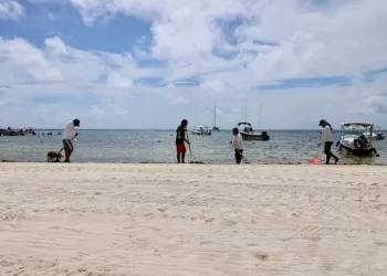 Monitorean de manera permanente en Puerto Morelos la llegada de sargazo