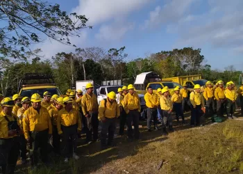 Cerca de 300 brigadistas en alerta para atender incendios forestales en Quintana Roo